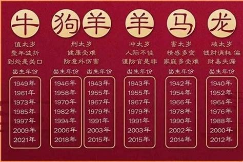 2023年什么年